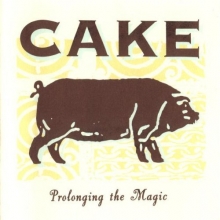 Cover art for Prolonging the Magic