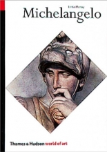 Cover art for Michelangelo (World of Art)