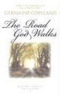 Cover art for The Road God Walks