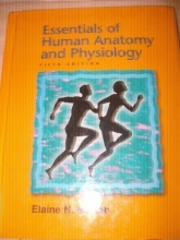 Cover art for Essentials of Human Anatomy and Physiology Fith Editon
