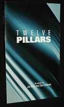 Cover art for Twelve Pillars