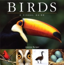Cover art for Birds: A Visual Guide (Visual Guides)
