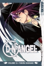 Cover art for D.N.Angel Volume 13