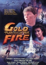 Cover art for Gold Through the Fire