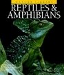 Cover art for Reptiles & Amphibians (National Geographic Nature LIbrary)
