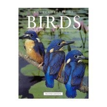 Cover art for ENCYCLOPEDIA OF BIRDS, A COMPREHENSIVE ILLUSTRATED GUIDE BY INTERNATIONAL EXPERTS