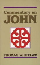 Cover art for Commentary on John