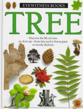 Cover art for Tree (Eyewitness Books)