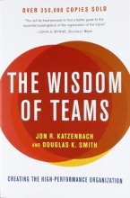 Cover art for The Wisdom of Teams: Creating the High-Performance Organization (Collins Business Essentials)