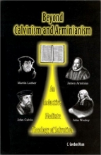Cover art for Beyond Calvinism and Arminianism: An Inductive, Mediate Theology of Salvation