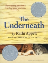 Cover art for The Underneath