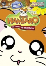 Cover art for Hamtaro - Hamtaro and the Ham-Hams 
