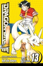 Cover art for Dragon Drive, Vol. 13