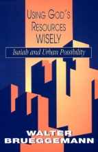 Cover art for Using God's Resources Wisely: Isaiah and Urban Possibility