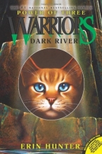 Cover art for Dark River (Warriors: Power of Three, No. 2)