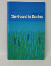 Cover art for The Gospel in Exodus