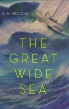Cover art for The Great Wide Sea