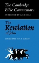 Cover art for The Revelation of John (Cambridge Bible Commentaries on the New Testament)
