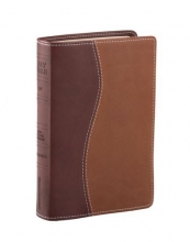 Cover art for NIV Compact Reference Bible