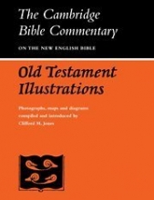 Cover art for Old Testament Illustrations (Cambridge Bible Commentaries on the Old Testament)