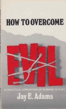 Cover art for How to Overcome Evil