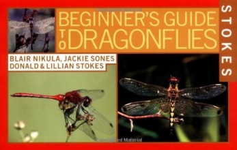 Cover art for Stokes Beginner's Guide to Dragonflies