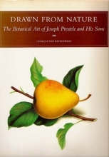 Cover art for Drawn From Nature: The Botanical Art of Joseph Prestele and His Sons