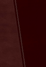 Cover art for NKJV Study Bible
