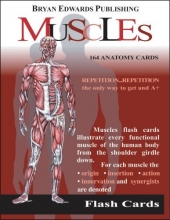 Cover art for The Muscles (Flash Cards) (Flash Anatomy)