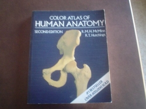 Cover art for A Color Atlas of Human Anatomy