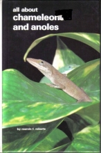 Cover art for All About Chameleons and Anoles