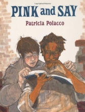 Cover art for Pink and Say