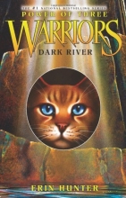 Cover art for Dark River (Warriors: Power of Three #2)