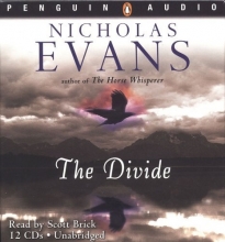 Cover art for The Divide