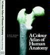 Cover art for Color Atlas of Human Anatomy