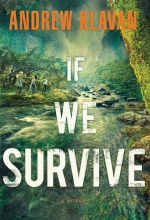 Cover art for If We Survive