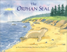 Cover art for The Orphan Seal