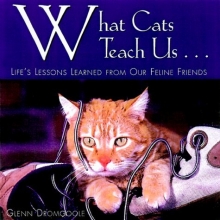 Cover art for What Cats Teach Us...: Life's Lessons Learned from Our Feline Friends