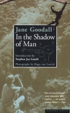 Cover art for In the Shadow of Man