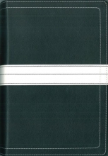 Cover art for 07 Spring Promo Gift Bible 2 - Wal-Mart