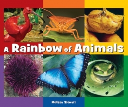 Cover art for A Rainbow of Animals