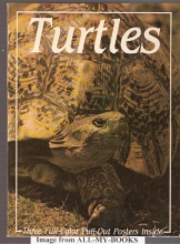 Cover art for Turtles
