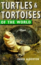 Cover art for Turtles & Tortoises of the World (Of the World Series)