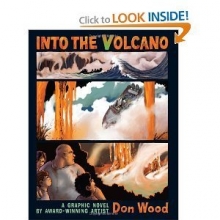 Cover art for Into the Volcano