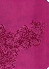 Cover art for New King James Version Gift Bible
