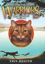 Cover art for The Forgotten Warrior: Warriors- Omen of the Stars, No. 5