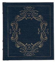 Cover art for The Stranger