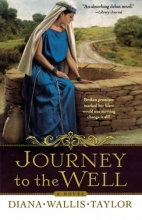 Cover art for Journey to the Well: A Novel