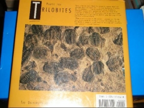 Cover art for Trilobites