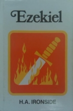 Cover art for Expository Notes on Ezekiel the Prophet